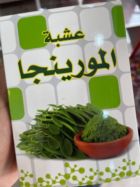 عشبة المعجزة مورينغا 