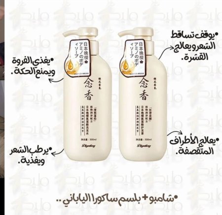 شامبو ساكورا الياباني